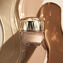 Display Product shot number 10: The Foundation, Light Tan Ocher