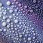 Display Product shot number 4: Essential Refining Essence