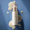 Display Product shot number 3: Protective Fortifying Emulsion