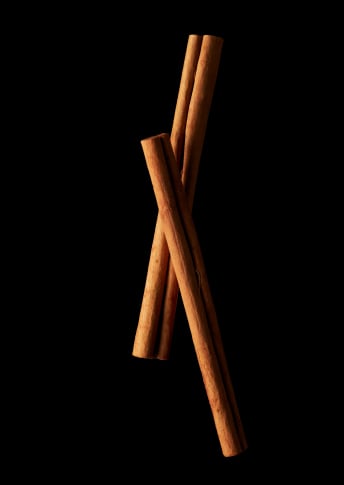 CinNAmon Bark Extract