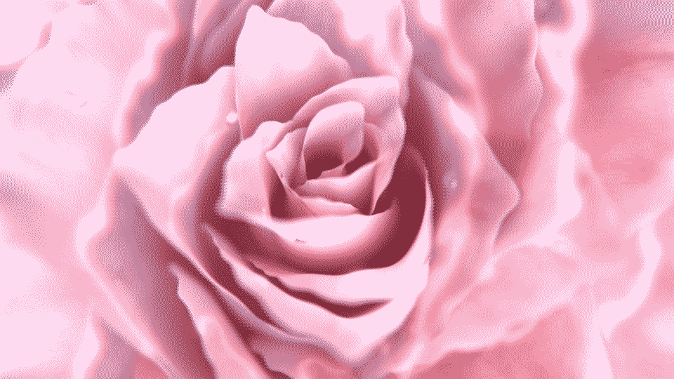 gif Rose