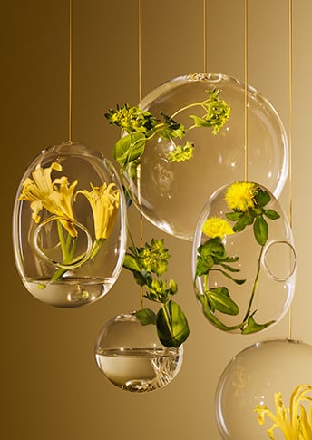 GOLDEN BOTANICAL EXTRACTS