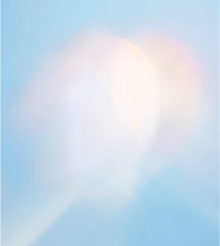 Rehmannia Root Extract