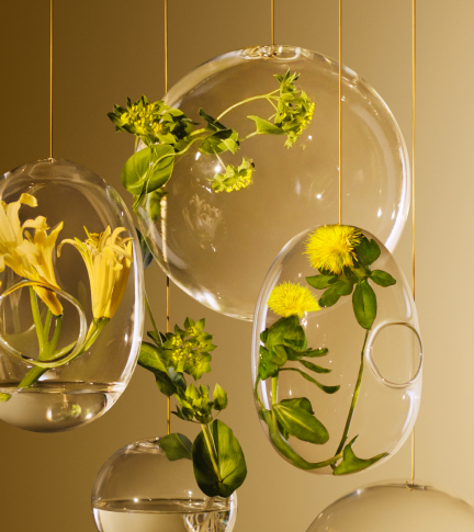 GOLDEN BOTANICAL EXTRACT