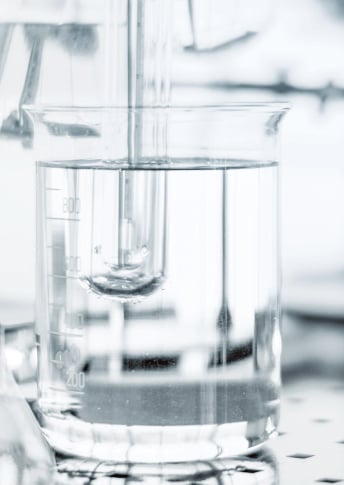 4MSK Complex and Black Tea Extract