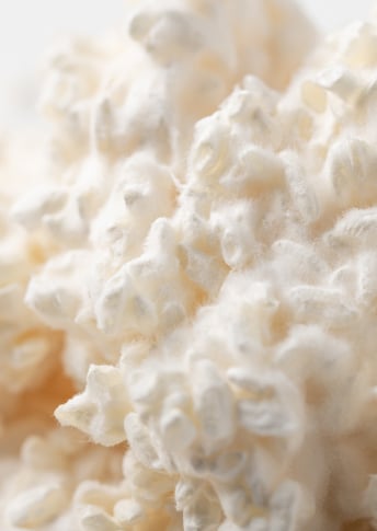 NEW Fortified Amino Ferment