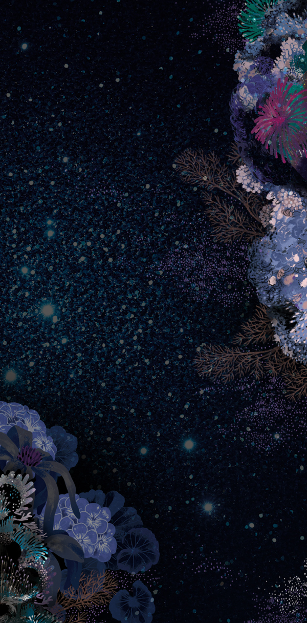 25% off BoxingWeek sale