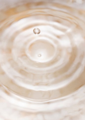 New NutriHydro-Stock Technology